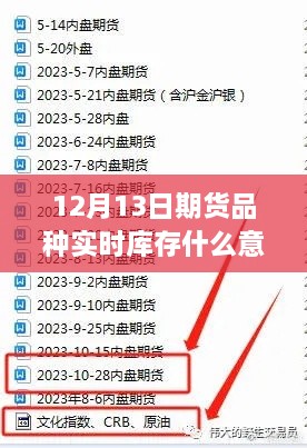 揭秘期貨品種實(shí)時(shí)庫(kù)存，解讀與理解實(shí)時(shí)庫(kù)存信息，適合初學(xué)者與進(jìn)階用戶指南