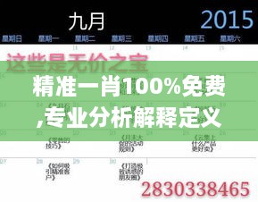 精準一肖100%免費,專業(yè)分析解釋定義_V版10.862