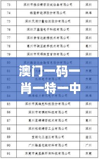 澳門一碼一肖一特一中是公開的嗎,精細(xì)化說明解析_XR11.605