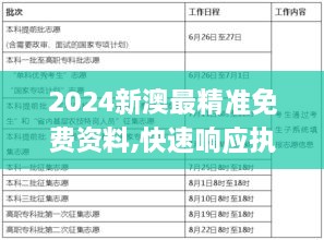 2024新澳最精準免費資料,快速響應執(zhí)行策略_R版8.443