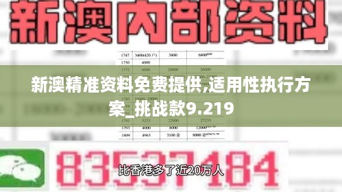 新澳精準資料免費提供,適用性執(zhí)行方案_挑戰(zhàn)款9.219