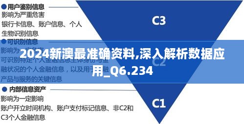 2024新澳最準確資料,深入解析數據應用_Q6.234