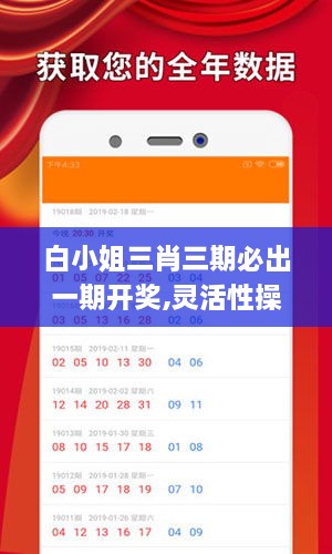 白小姐三肖三期必出一期開(kāi)獎(jiǎng),靈活性操作方案_經(jīng)典版10.278