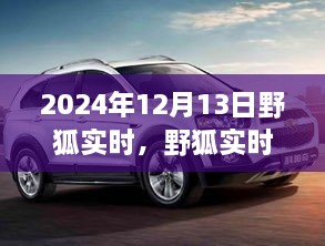 野狐實時，溫馨日常中的歡樂時光（2024年12月13日）