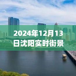 沈陽獨家揭秘，2024年實時街景地圖全解析，領(lǐng)略城市新風(fēng)貌