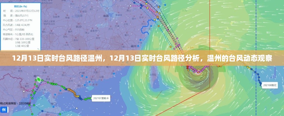 12月13日溫州臺風路徑實時分析，最新動態(tài)與觀察報告