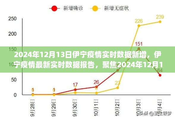 2024年12月13日伊寧疫情實(shí)時(shí)數(shù)據(jù)報(bào)告，聚焦最新新增情況