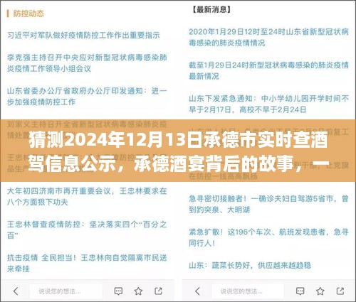 承德酒宴背后的故事，酒駕信息公示探秘之旅（猜測2024年12月13日承德市實時查酒駕信息公示）