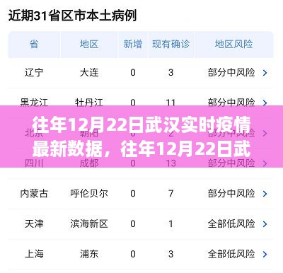 往年12月22日武漢實時疫情數(shù)據(jù)深度解析，特性、體驗、競品對比及用戶群體分析報告