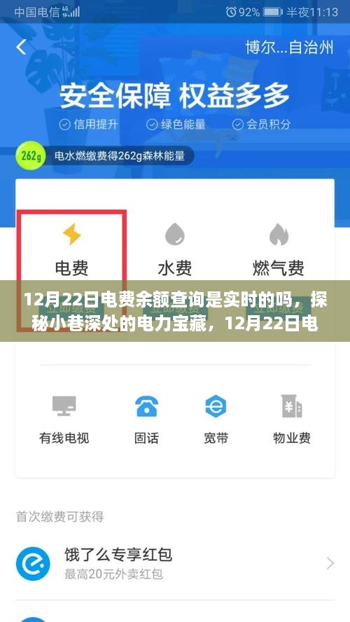 探秘小巷深處的電力寶藏，揭秘12月22日電費(fèi)余額查詢(xún)實(shí)時(shí)性揭秘