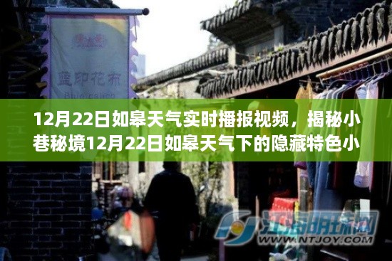 揭秘如皋小巷秘境，特色小店與12月22日天氣實(shí)時(shí)播報(bào)視頻