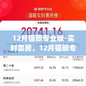 12月貓眼專業(yè)版實時票房解析，電影市場深度洞察