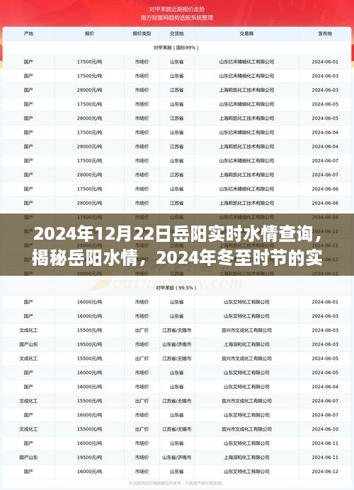 揭秘岳陽水情，冬至?xí)r節(jié)實(shí)時(shí)水情查詢指南（2024年）