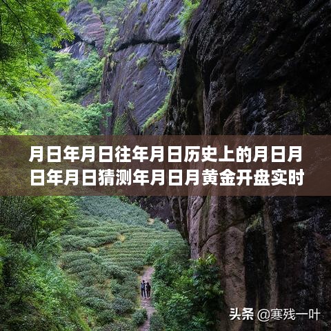 黃金行情揭秘，歷史、預(yù)測(cè)與實(shí)時(shí)動(dòng)態(tài)的交織