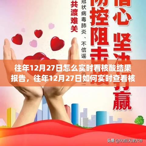 往年12月27日如何實時查看核酸結(jié)果報告，方法與觀點探討