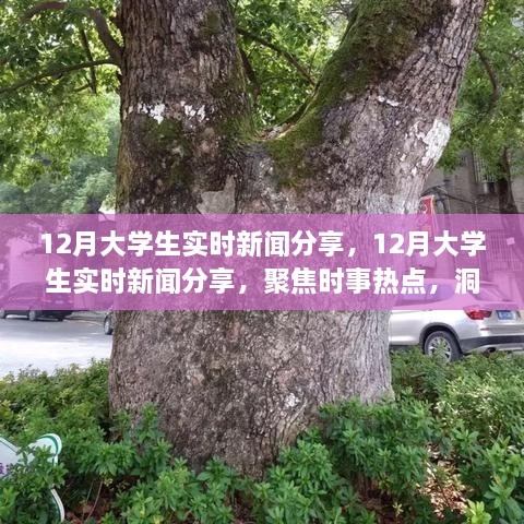 聚焦時事熱點，大學(xué)生實時新聞分享，洞察時代變遷的十二月觀察