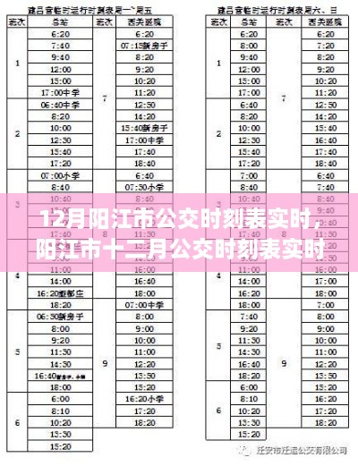 陽江市公交時刻表實時更新解析，十二月公交運營動態(tài)觀察