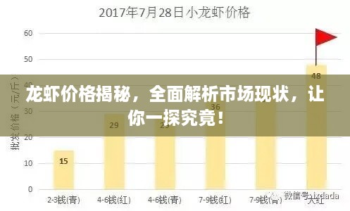 龍蝦價(jià)格揭秘，全面解析市場(chǎng)現(xiàn)狀，讓你一探究竟！