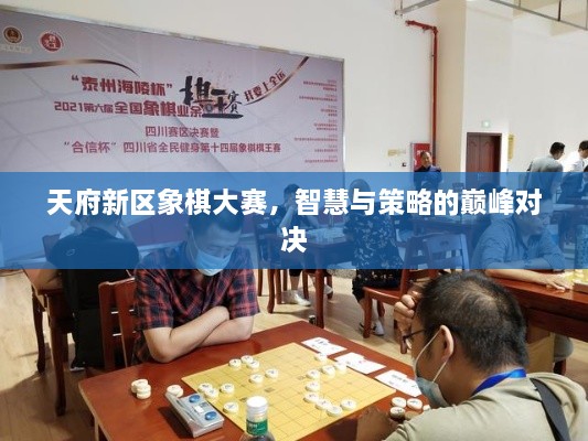 天府新區(qū)象棋大賽，智慧與策略的巔峰對(duì)決