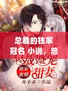 總裁的獨家冠名 小說，總裁的獨家盛寵全文免費閱讀 