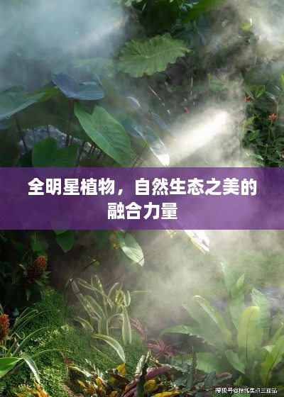 全明星植物，自然生態(tài)之美的融合力量