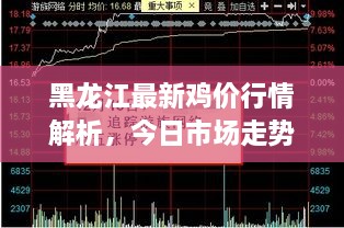 黑龍江最新雞價行情解析，今日市場走勢一網(wǎng)打盡