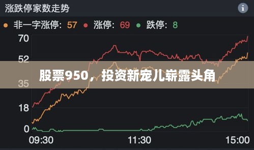 股票950，投資新寵兒嶄露頭角