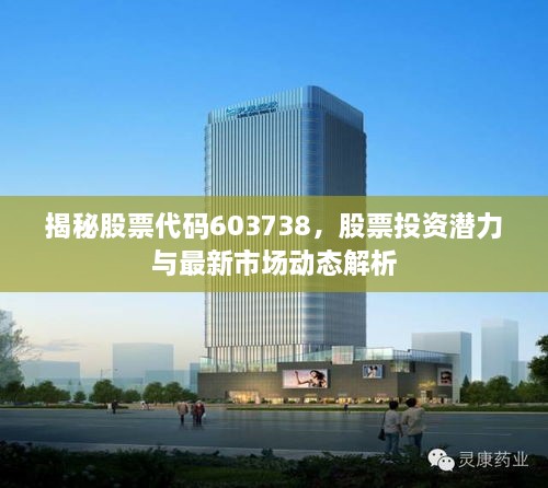 揭秘股票代碼603738，股票投資潛力與最新市場(chǎng)動(dòng)態(tài)解析