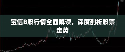 寶信B股行情全面解讀，深度剖析股票走勢(shì)