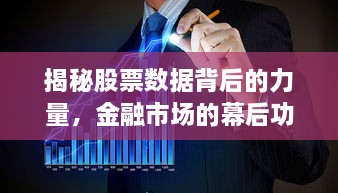 揭秘股票數(shù)據(jù)背后的力量，金融市場的幕后功臣