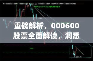 重磅解析，000600股票全面解讀，洞悉投資趨勢！