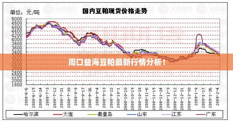 周口益海豆粕最新行情分析！