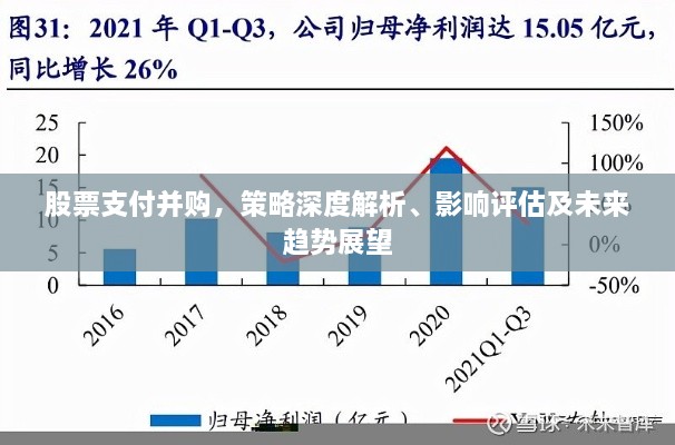 股票支付并購，策略深度解析、影響評(píng)估及未來趨勢(shì)展望