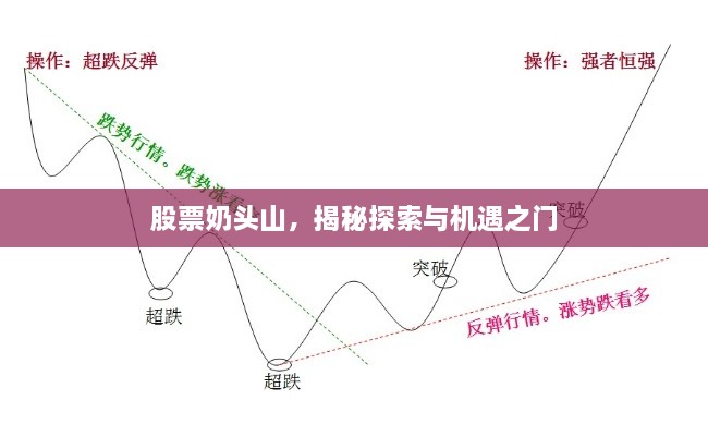 股票奶頭山，揭秘探索與機遇之門