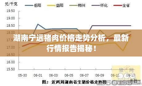 勤勤懇懇 第2頁