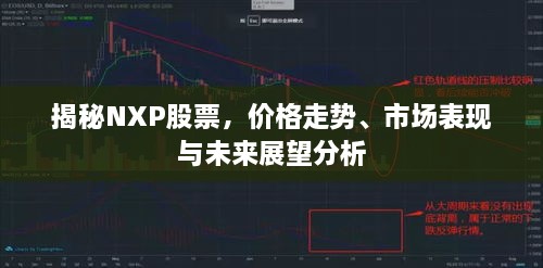 揭秘NXP股票，價格走勢、市場表現與未來展望分析