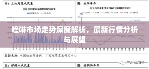 喹啉市場走勢深度解析，最新行情分析與展望