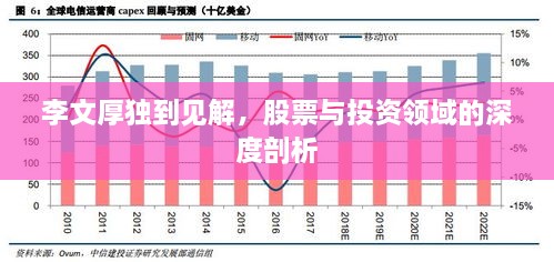 李文厚獨(dú)到見(jiàn)解，股票與投資領(lǐng)域的深度剖析