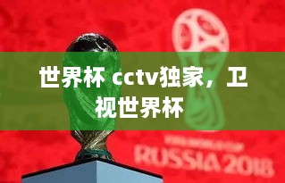 世界杯 cctv獨(dú)家，衛(wèi)視世界杯 