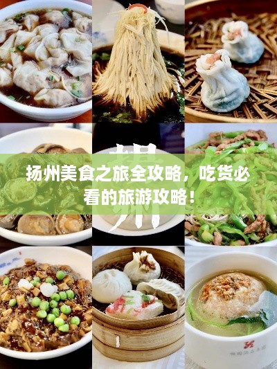 揚(yáng)州美食之旅全攻略，吃貨必看的旅游攻略！