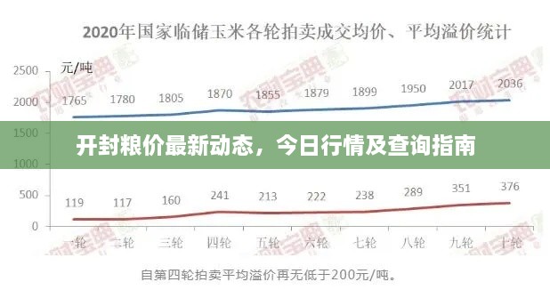 開封糧價最新動態(tài)，今日行情及查詢指南