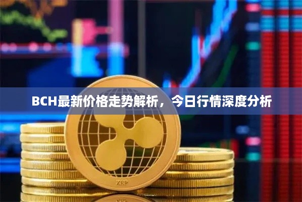 BCH最新價格走勢解析，今日行情深度分析