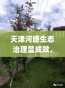 遍地開花 第2頁