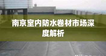 南京室內(nèi)防水卷材市場深度解析