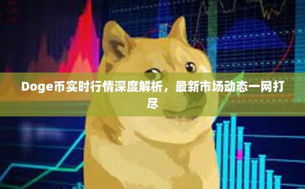 Doge幣實(shí)時(shí)行情深度解析，最新市場(chǎng)動(dòng)態(tài)一網(wǎng)打盡