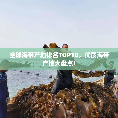 全球海帶產(chǎn)地排名TOP10，優(yōu)質(zhì)海帶產(chǎn)地大盤點(diǎn)！