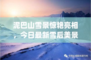 泥巴山雪景驚艷亮相，今日最新雪后美景報(bào)道！