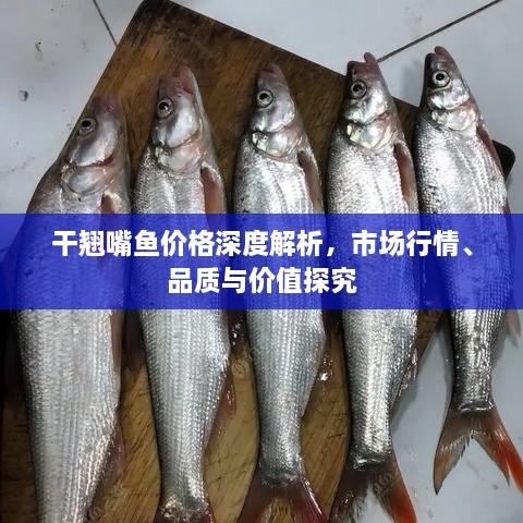 干翹嘴魚(yú)價(jià)格深度解析，市場(chǎng)行情、品質(zhì)與價(jià)值探究