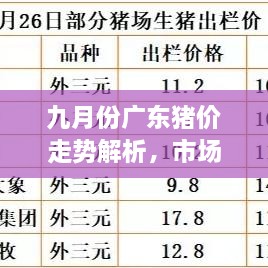 九月份廣東豬價(jià)走勢解析，市場行情、價(jià)格變動一網(wǎng)打盡