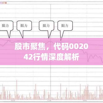 股市聚焦，代碼002042行情深度解析